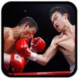 Dual Boxing APK