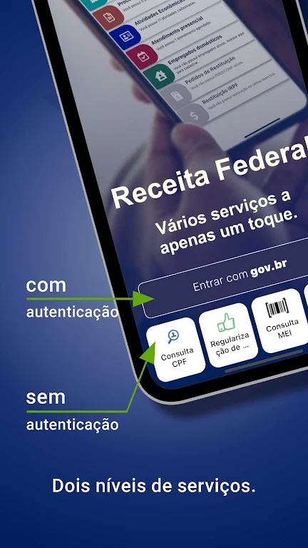 Receita Federal Screenshot2