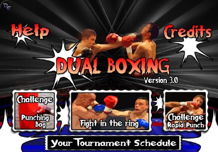 Dual Boxing Screenshot5