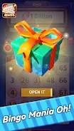 Bingo Mega Prize Screenshot5