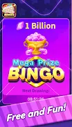 Bingo Mega Prize Screenshot3