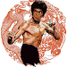 Martial Arts - Advanced Techni APK