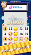 Bingo Mega Prize Screenshot4