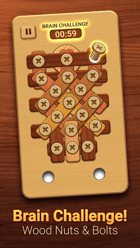 Wood Puzzle: Nuts And Bolts Screenshot3