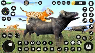 Tiger Simulator Animal Games Screenshot4