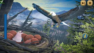 Flying Bird Eagle Simulator 3D Screenshot1