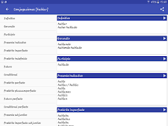 Spanish Dictionary - Offline Screenshot16