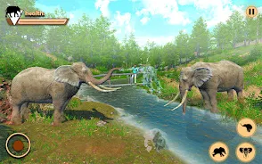 Wild Jungle Elephant Games Screenshot4