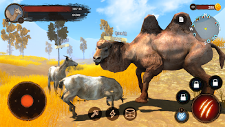 The Camel Screenshot4