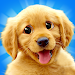 Talking Dogs APK