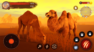 The Camel Screenshot3