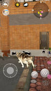 Talking Dogs Screenshot6