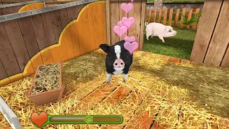 Pet World - My animal shelter Screenshot2