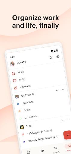 Todoist: To-Do List, Task List Screenshot1