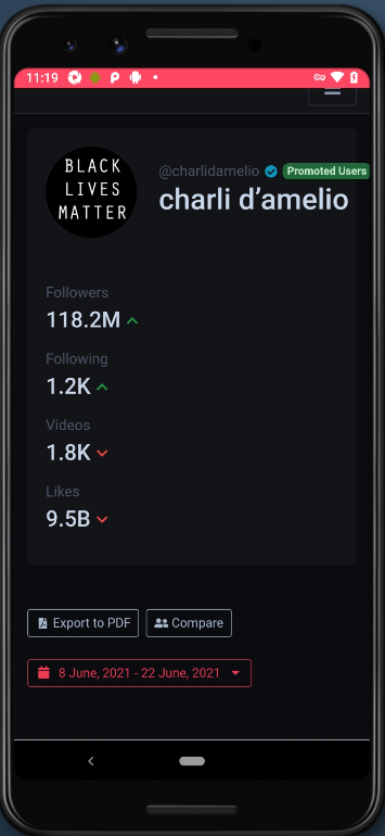 TikStats - TikTok Profile Analytics Screenshot2