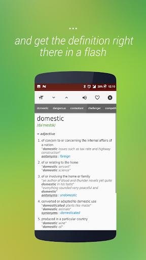 onTouch English Dictionary Screenshot3