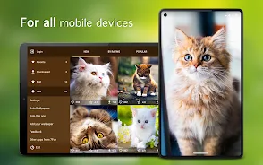 Cat Wallpapers & Cute Kittens Screenshot6