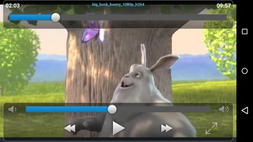 VLC Streamer Screenshot5