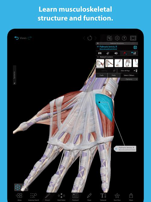 Human Anatomy Atlas 2023 Screenshot4