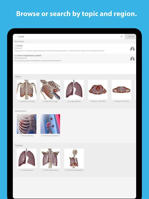 Human Anatomy Atlas 2023 Screenshot5