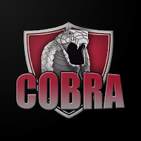 COBRA Private VPN & Wifi Proxy APK