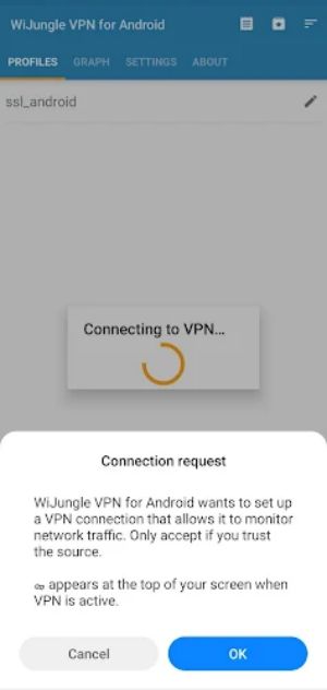 WiJungle SSL VPN Screenshot2