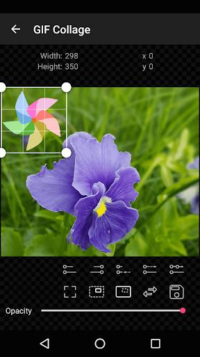 GIF Studio Screenshot4