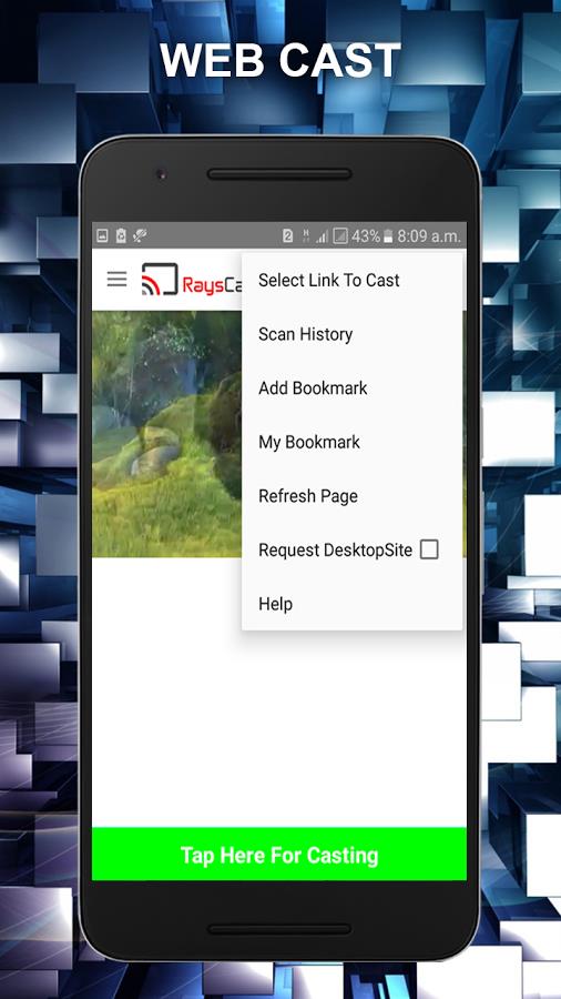 RaysCast For Chromecast Screenshot3