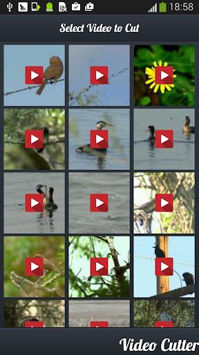 Video Cutter : Video Trimmer Screenshot4