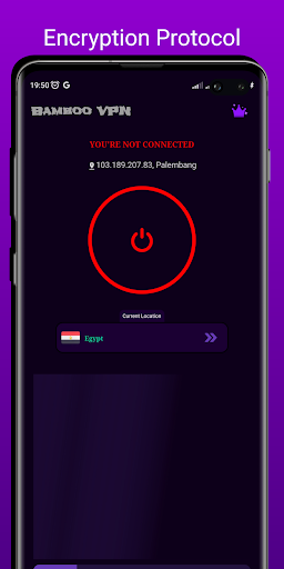 Bamboo VPN Screenshot1
