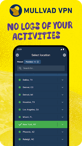 Mullvad VPN Screenshot4