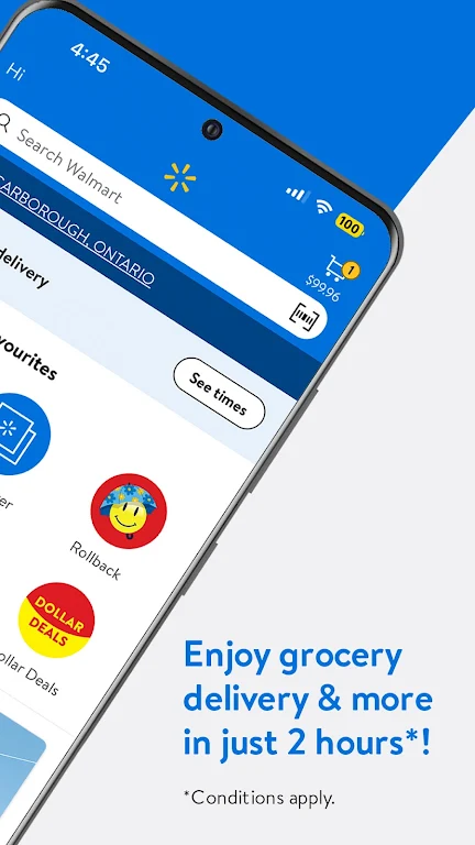 Walmart.ca Screenshot3