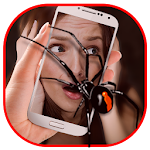 Spider On Body/Face Prank Cam APK