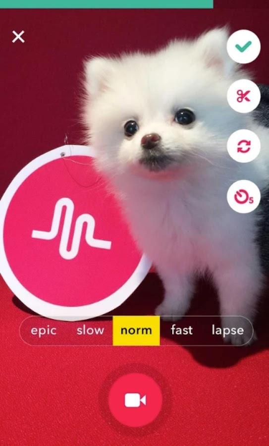 musical.ly lite Screenshot1