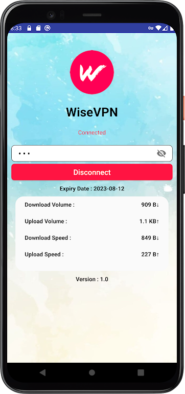 WiseVPN Screenshot2