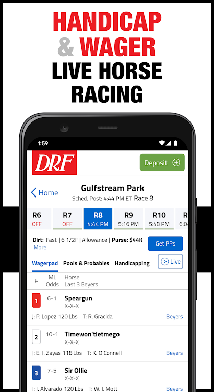 DRF Horse Racing Screenshot2