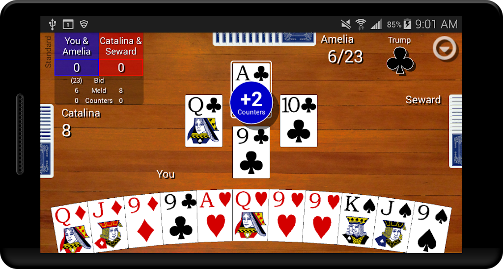 Pinochle Classic Screenshot1