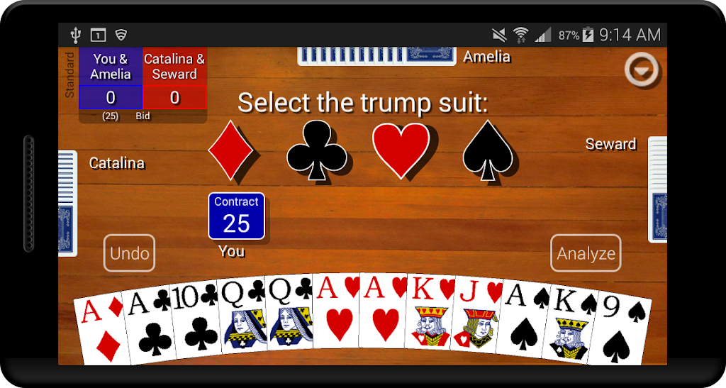 Pinochle Classic Screenshot4