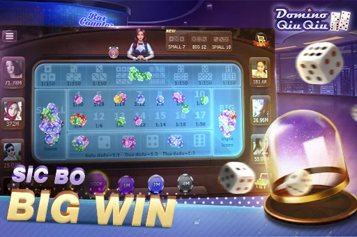 Domino QiuQiu Screenshot3