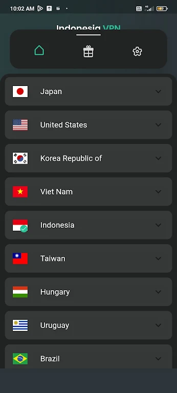 Indonesia VPN Proxy - Safe VPN Screenshot3