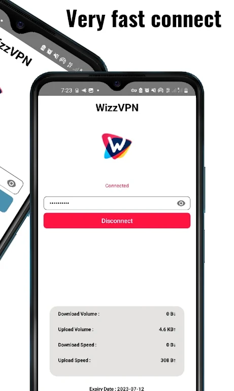 WizzVpn Screenshot1