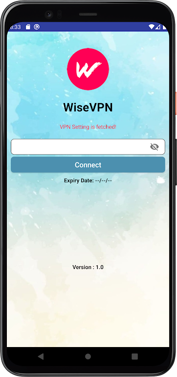 WiseVPN Screenshot1