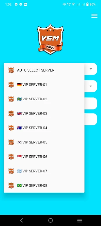 Vsm Vpn Screenshot1