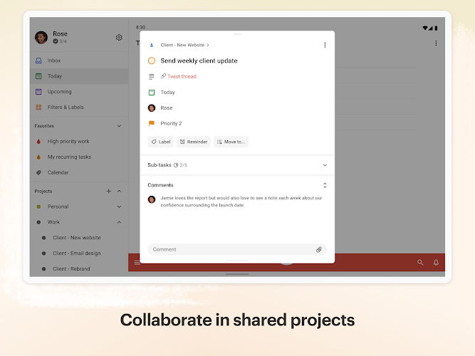 Todoist: to-do list & planner Mod Screenshot10