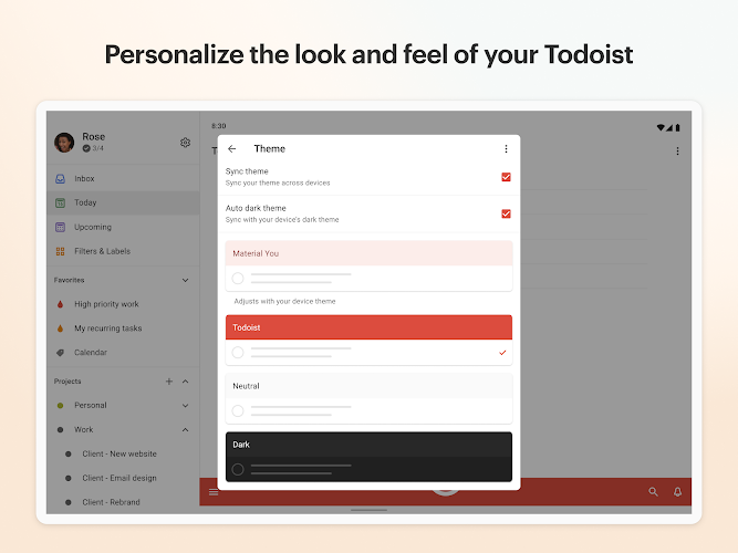 Todoist: to-do list & planner Mod Screenshot11