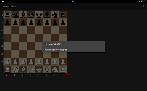 Senior Chess Screenshot1