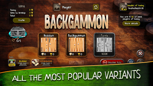 Backgammon Screenshot2