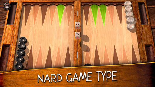 Backgammon Screenshot1