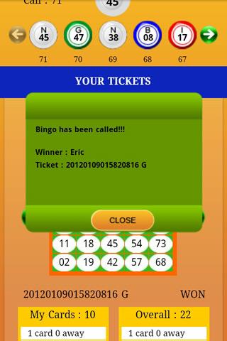 2Go Bingo Screenshot2