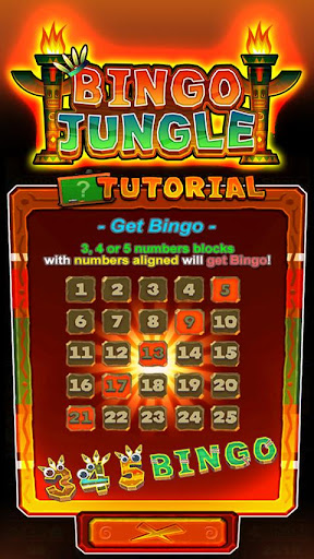 Bingo Jungle Screenshot3